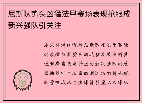 尼斯队势头凶猛法甲赛场表现抢眼成新兴强队引关注