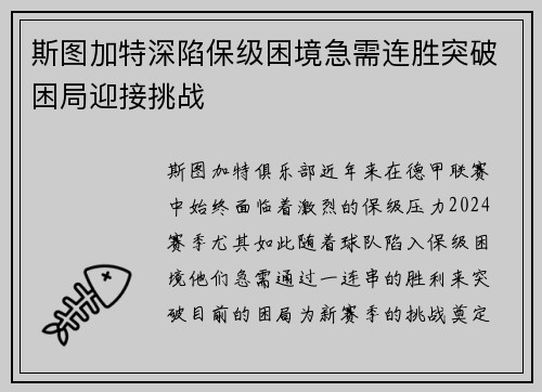 斯图加特深陷保级困境急需连胜突破困局迎接挑战