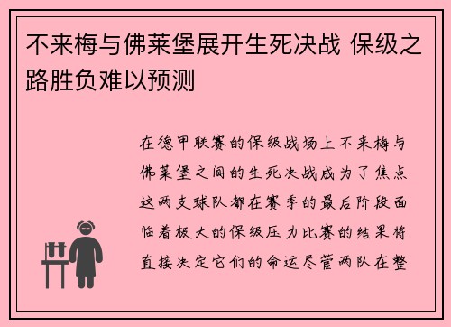 不来梅与佛莱堡展开生死决战 保级之路胜负难以预测