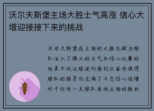 沃尔夫斯堡主场大胜士气高涨 信心大增迎接接下来的挑战