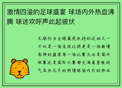 激情四溢的足球盛宴 球场内外热血沸腾 球迷欢呼声此起彼伏