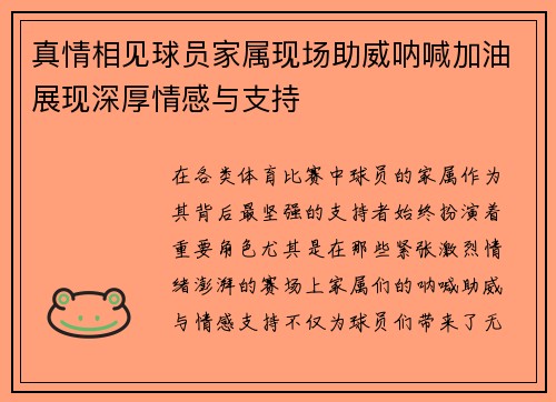 真情相见球员家属现场助威呐喊加油展现深厚情感与支持