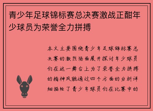 青少年足球锦标赛总决赛激战正酣年少球员为荣誉全力拼搏